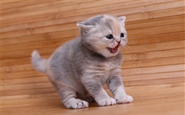 Преимущество 3