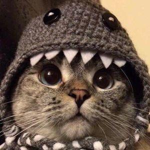 Преимущество 4